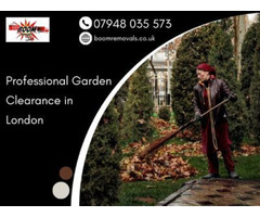 Professional Garden Clearance in London - 1