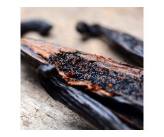 Vanilla Seeds