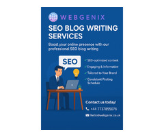 Boost Your Website Traffic with Professional SEO Blog Writing Services! 