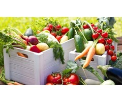 Weight loss & Healthy Body Food List - Organic Health Planet | free-classifieds.co.uk - 1