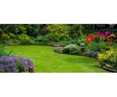 Garden and Lawn Maintenance Services | free-classifieds.co.uk - 1