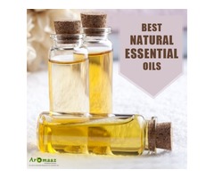 Extensive and Pure Variety of Essential Oils in India is Available @ Aromaazinternational.com! | free-classifieds.co.uk - 1